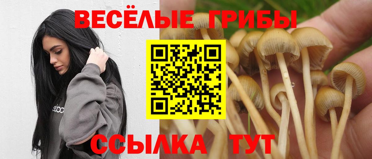 Галлюциногенные грибы Psilocybe Ревда
