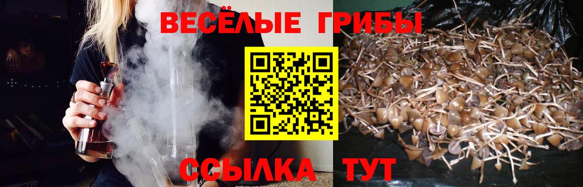 Галлюциногенные грибы Magic Shrooms  Псилоцибиновые грибы Magic Shrooms  Ревда  Вход с VPN 